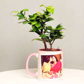 Ficus Compacta Plant in Personalised Mothers Day Mug