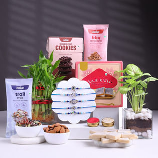 Five Blue Rakhis With Indoor Plants N Treats