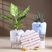 Five Pastel Beaded Rakhis With Indoor Plants