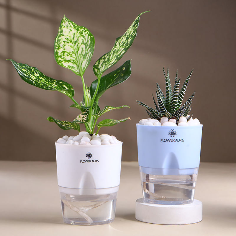 Product Image Video