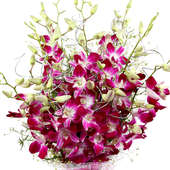 Zoom in view of bunch of 6 Orchids - A gift of Floral Expressions combo