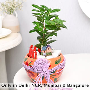 Floral Pot N Ficus Compacta Plant Combo