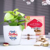 Floral Rakhi Duo With Money Plant N Kaju Katli