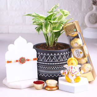 Floral Rakhi N Plantful Blessings Hamper