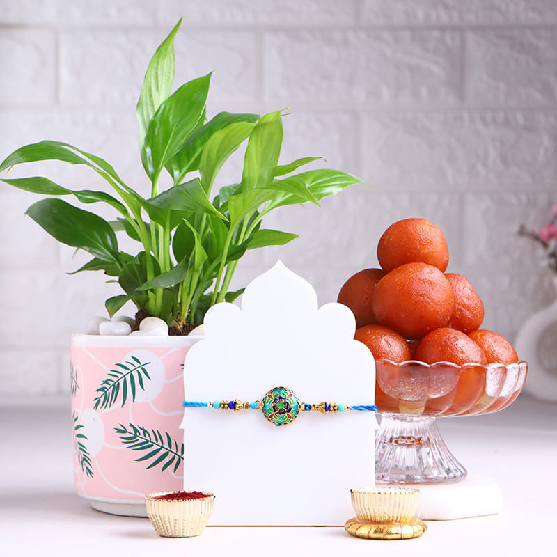 Floral Rakhi With Peace Lily Plant N Rasgullas
