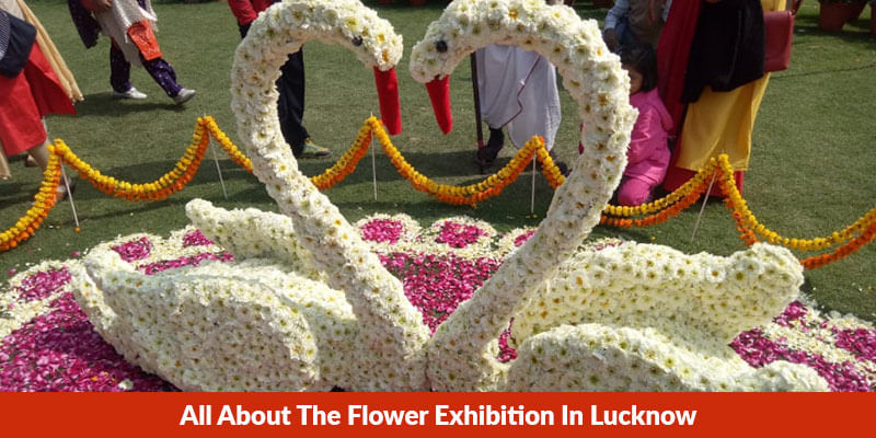 All About The Flower Exhibition In Lucknow