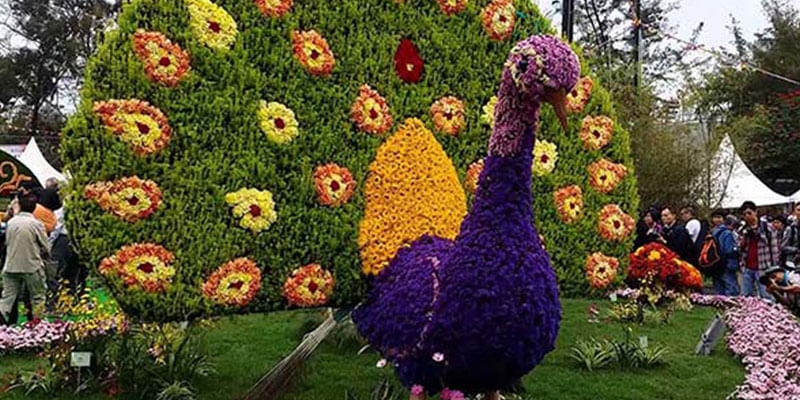 Flower Show in Delhi 2022 - Location, Date & Variety of Flowers