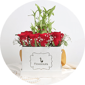 Send flowers with plants online in India