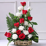 Christmas Flowers