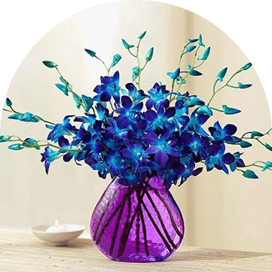 Send Flowers To USA