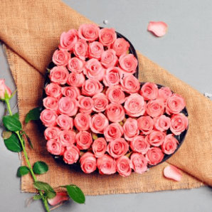 Valentine Roses