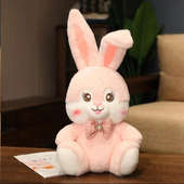 Fluffy Pink Bunny Soft Toys