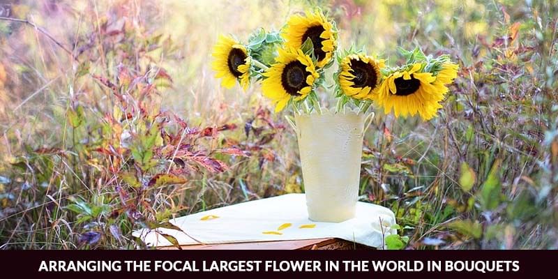 Arranging The Focal Largest Flower in The World in Bouquets