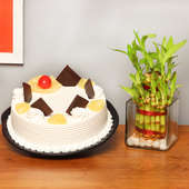 2 Layer Bamboo with Pineapple Cake Combo