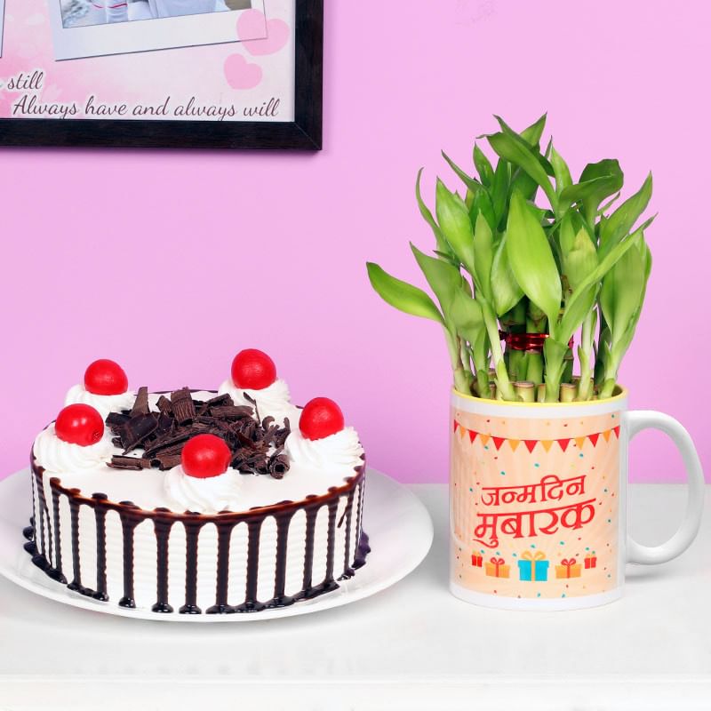 One Printed Ceramic Mugwith 2 Layer Lucky Bamboo and 500gm Blackforest Cake
