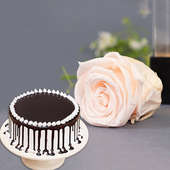 Forever Chocolatey Combo - Forever Pink Rose with 500gm Black Forest Cake