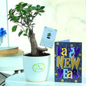 Forever Festivities - Foliage Plant Indoors in Rhonda Vase with New Year Greeting Card