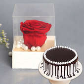 Forever Love Combo - Forever Red Rose with 500gm Black Forest Cake