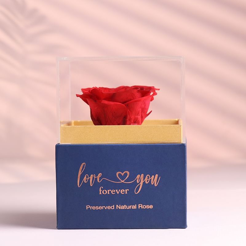 Product Image Video