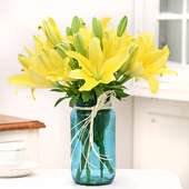 Arrangement of 6 Yellow Lilies - Fragrant Yellow Lilies