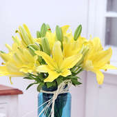 Order Arrangement of 6 Yellow Lilies Online in India