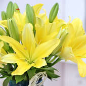 Online Flower Delivery in India - Send Yellow Lilies