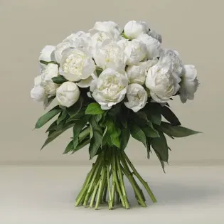 Grace In White Peonies