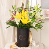 Fresh White Yellow Pink Lily Bouquet - Arrangement of 8 White and Yellow Lilies in Floweraura Box