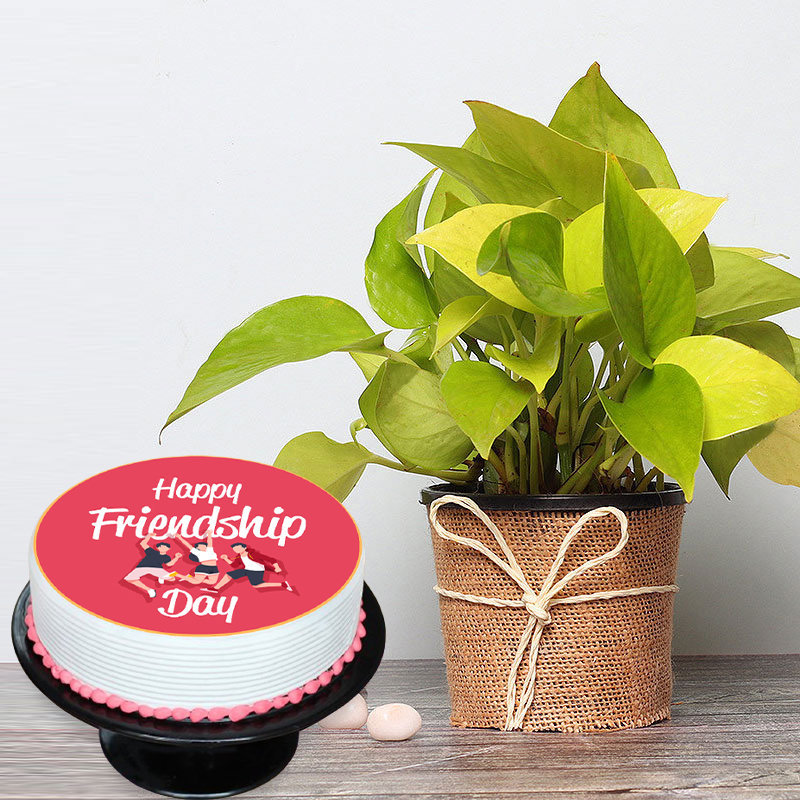 Friendship Day Cake With Plant