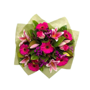 Fuchsia Blossom Delight