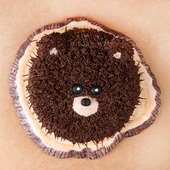 Furry Brown Bear Cake