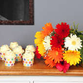 Gerbera Luv Sprinkle Combo - Bunch of 12 Mixed Gerberas with 6 Vanilla Cup Cakes