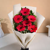 6 pink Gerberas