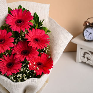 6 pink Gerberas