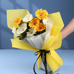 Gerberas Writing A Sunny Tale