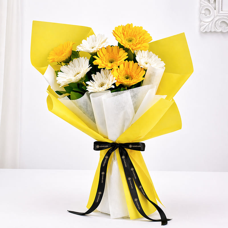 Product Image Video
