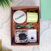 A Plant Box Combo Gift Pack