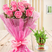 Gift Of Fondness - A combo of 12 pink Roses and 2 layer lucky bamboo