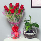 Go Green Festivities - Good Luck Plant Indoors in Gola Vase with Bunch of 10 Red Roses