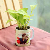 Money Plant in Personalised Love Mug