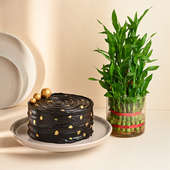 Golden Chocolate Delight Cake N Lucky Bamboo Combo