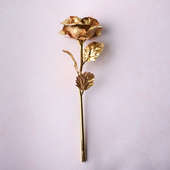 Front view of Golden Rose: Valentine Roses