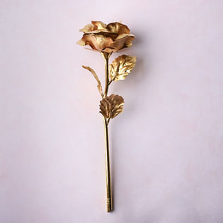 Front view of Golden Rose: Valentine Roses