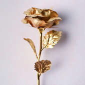Golden Rose with a Card for Love