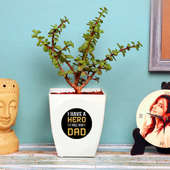 Jade Plant in White Vase for Dad