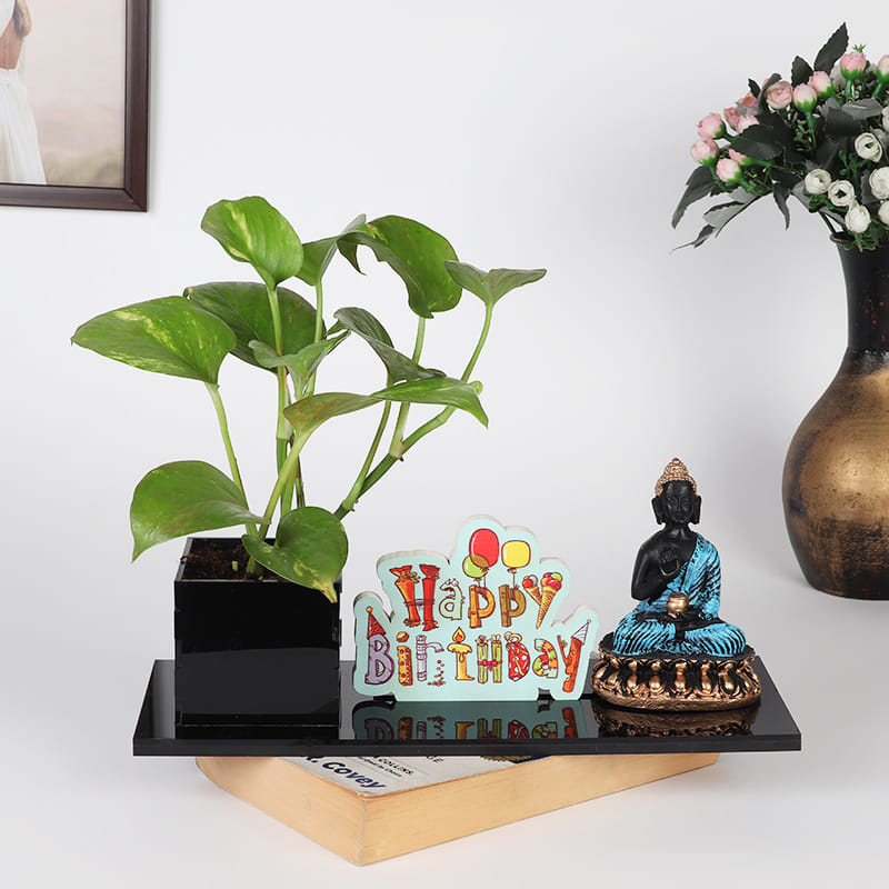 Page 4 of Plant nursery in Siliguri Buy Plants Online in Siliguri