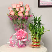 Good Luck Pink Combo - Good Luck Plant Indoors in Potpourri Vase with Bunch of 10 Pink Roses
