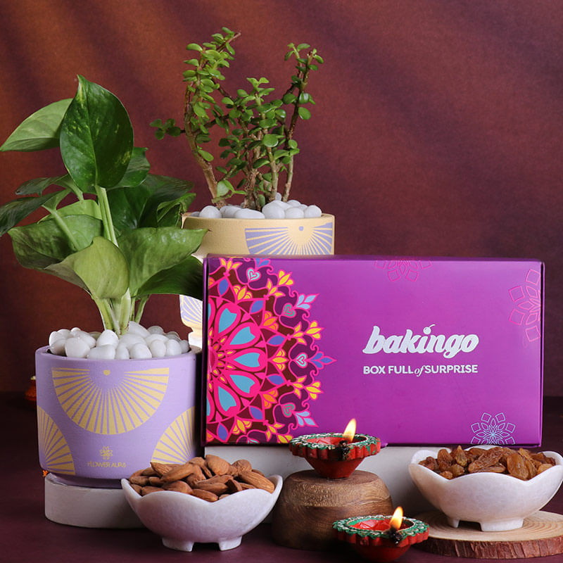 Good Luck Plants With Dry Fruits N Diyas