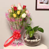 Goodness Forever - Good Luck Plant Indoors in Gola Vase with Bunch of 10 Mixed Roses