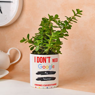 Google Teacher Jade Plant
